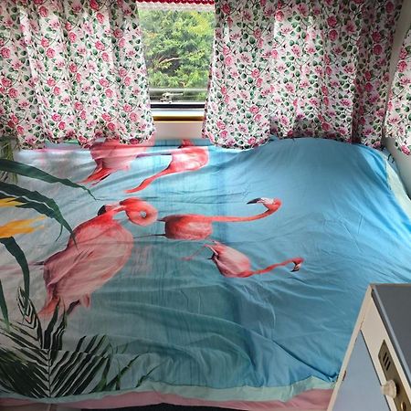Balistyle Guesthouse Incl Hottub Near Amsterdam And Haarlem Велсен-Зёйд Экстерьер фото